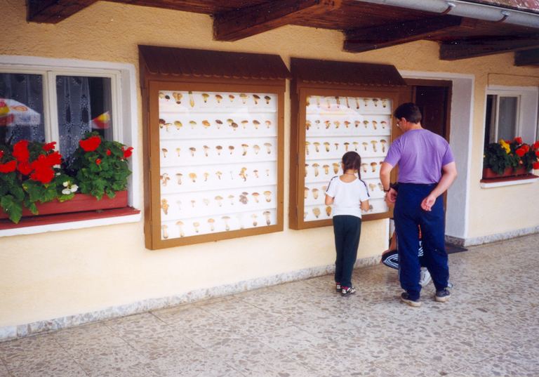 Šumava — Haidmühle (D), Nýrsko 1999
