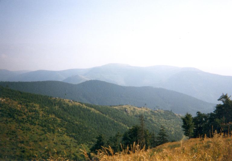 Jeseníky — Praděd, Dlouhé stráně 2001