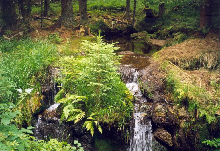 Šumava — Haidmühle (D), Nýrsko 1999