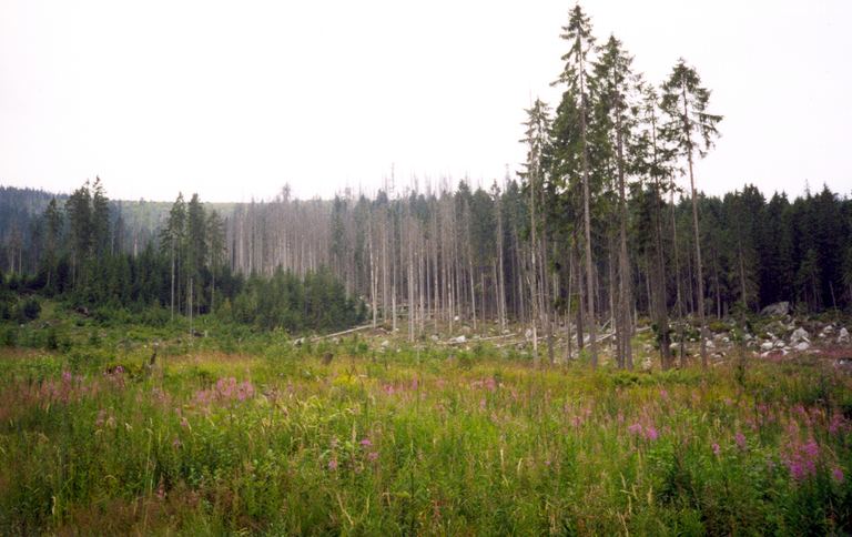 Šumava — Haidmühle (D), Nýrsko 1999