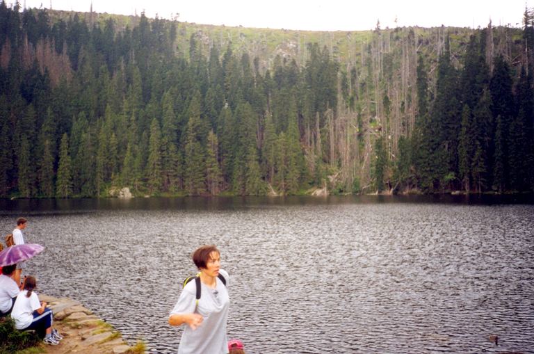 Šumava — Haidmühle (D), Nýrsko 1999