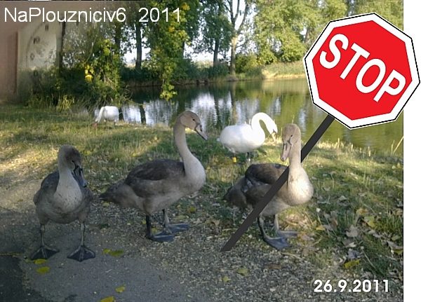 Bikeee Ploužnice 2011