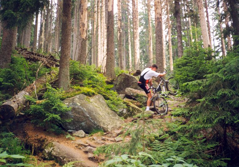 Šumava — Haidmühle (D), Nýrsko 1999