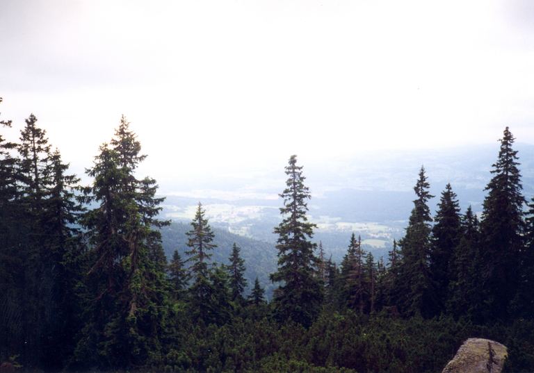 Šumava — Haidmühle (D), Nýrsko 1999