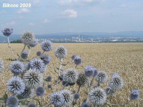 Klínovec 2009