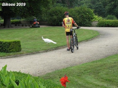 Klínovec 2009