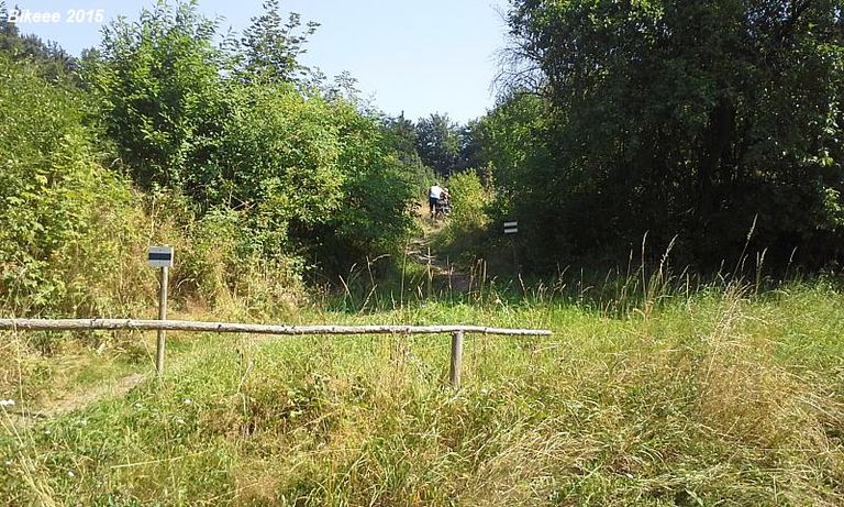 Sněžka 2015