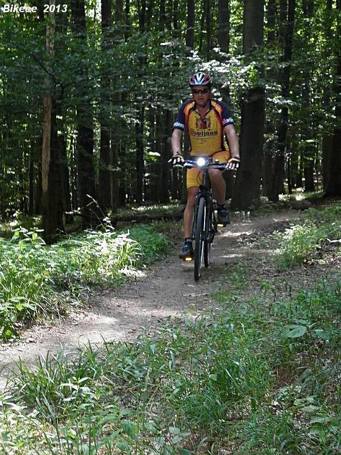 Chřiby 2013