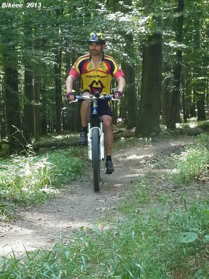 Chřiby 2013