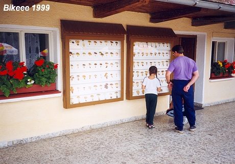 Šumava — Haidmühle (D), Nýrsko 1999