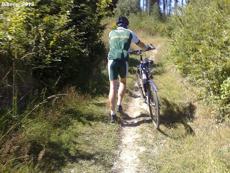 Chřiby 2013