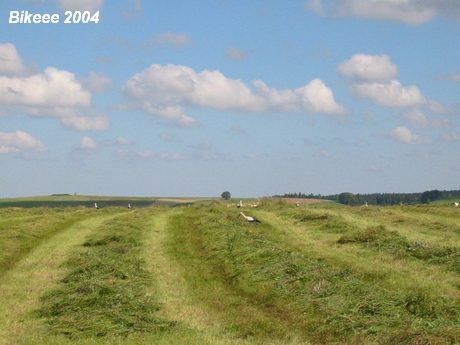 Jizerské hory — Bogatynia (PL) 2004