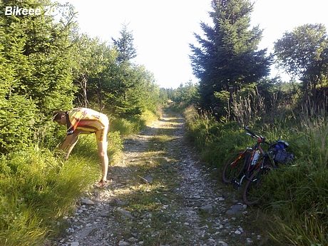 Rychlebské a Orlické hory (PL) 2008