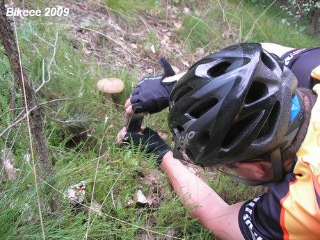 Klínovec 2009