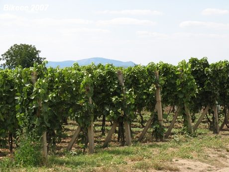 Bílé Karpaty — Senica (SK) 2007