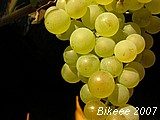 Bílé Karpaty — Senica (SK) 2007