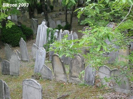 Pálava — Znojmo 2003