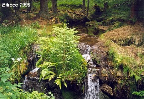 Šumava — Haidmühle (D), Nýrsko 1999