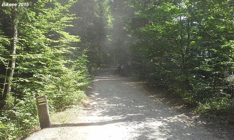 Sněžka 2015