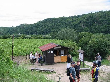 Vranovsko — Znojmo 2005