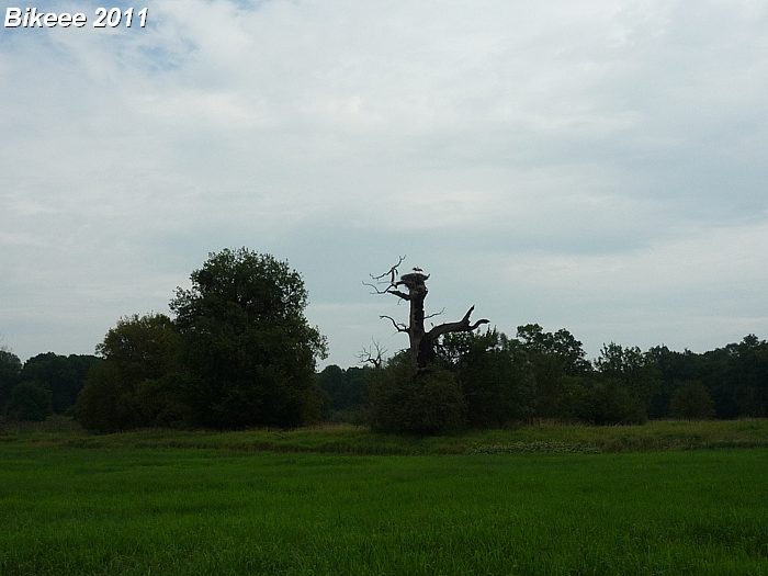 Macocha — Trojmezí (CZ-SK-A) 2011
