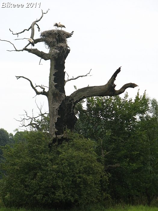 Macocha — Trojmezí (CZ-SK-A) 2011