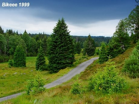 Šumava — Haidmühle (D), Nýrsko 1999