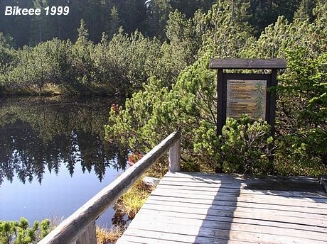 Šumava — Haidmühle (D), Nýrsko 1999