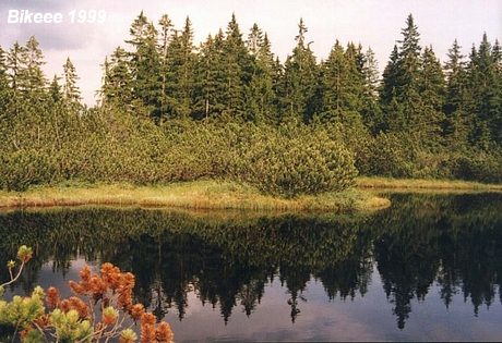 Šumava — Haidmühle (D), Nýrsko 1999