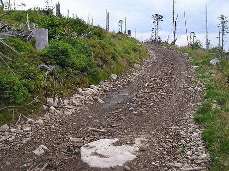 Rychlebské a Orlické hory (PL) 2008