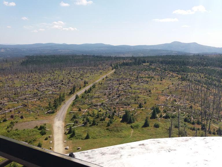 Brčálník (Šumava) — Láda