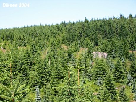 Jizerské hory — Bogatynia (PL) 2004