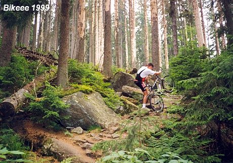 Šumava — Haidmühle (D), Nýrsko 1999