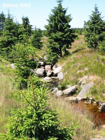 Jizerské hory — Bogatynia (PL) 2004