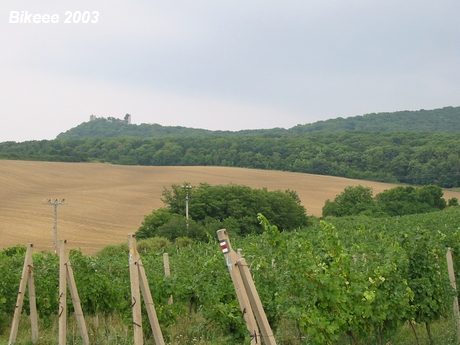 Pálava — Znojmo 2003