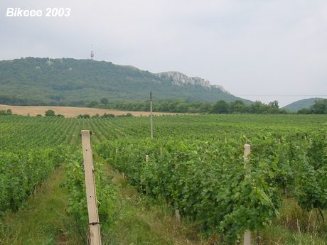 Pálava — Znojmo 2003