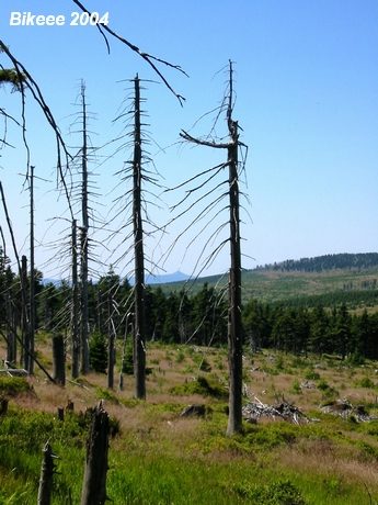 Jizerské hory — Bogatynia (PL) 2004
