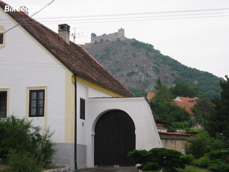 Pálava — Znojmo 2003