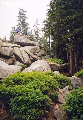 Šumava — Haidmühle (D), Nýrsko 1999