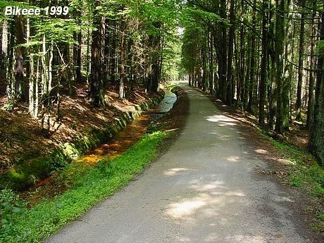 Šumava — Haidmühle (D), Nýrsko 1999