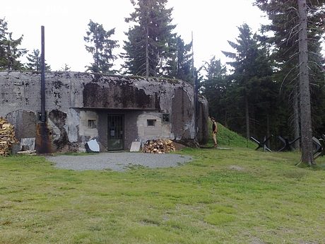 Rychlebské a Orlické hory (PL) 2008