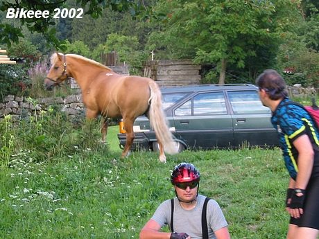 Adršpach — Góry Stołowe (PL) 2002