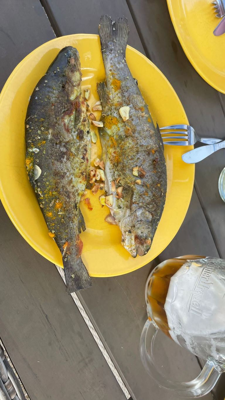 Orlík — Zahrádky — Máca