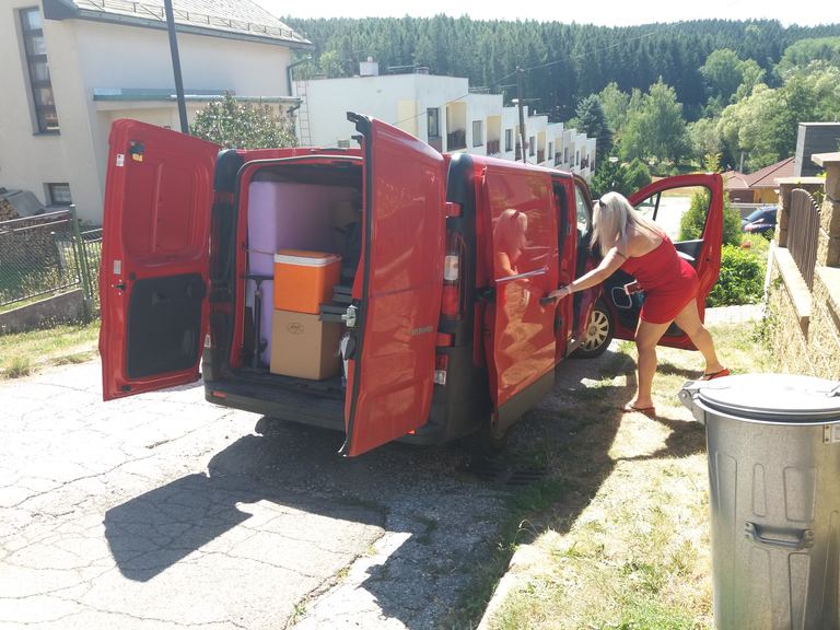 Brčálník (Šumava) — Láda