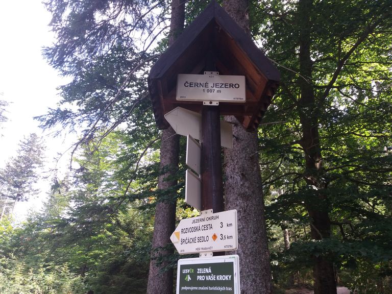 Brčálník (Šumava) — Láda