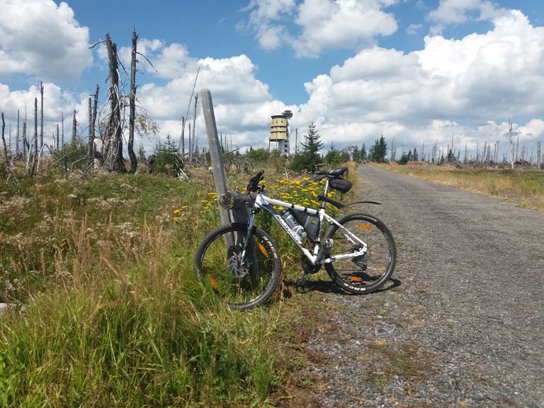 Brčálník (Šumava) — Láda